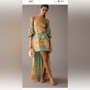 Vinnet bahl dress size medium nwot